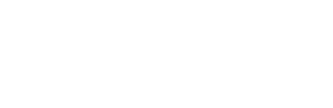 The Solopreneur Society